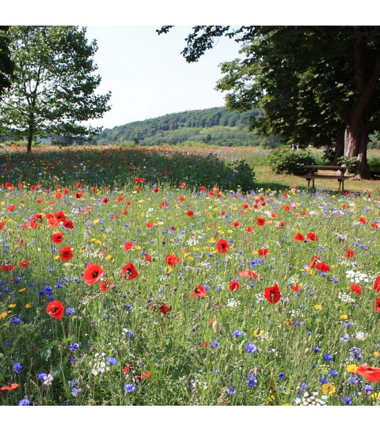 Www Jardin Biodiversite Com 1 0 Weekly Www Jardin Biodiversite Com Meilleures Ventes Jardin 0 1 Weekly Www Jardin Biodiversite Com Contactez Nous 0 1 Weekly Www Jardin Biodiversite Com 0 1 Weekly Www Jardin