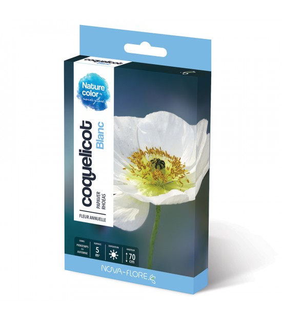 Coquelicot Blanc Nova Flore Pour Fleurir Votre Jardin Terrasse Ou Balcon